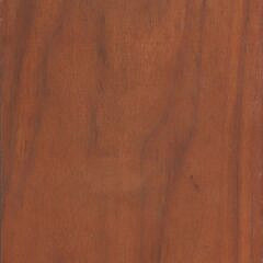 Fine Aletha Macy Carved Seven-Whale Species Plaque