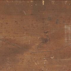 Vintage Half Hull Mounted on Board, Four-Lifts
