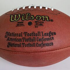 Brett Farve Signed Wilson NFL Football