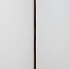 Whaleman Made Snake Head and Wood Shaft Walking Stick, 19th Century