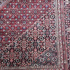 Oriental Carpet