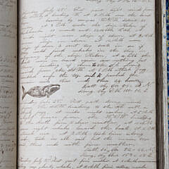 Ship Levi Starbuck Log Book On a Whaling Voyage to the South Pacific Ocean Joseph P. Nye Master 1841-1845