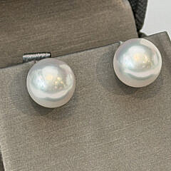 11.5mm White South Sea Pearl Earrings, 14k white Gold Posts