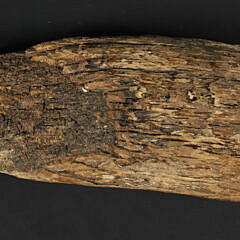 Mammoth Walrus Eskimo Scrimshaw Pictorial