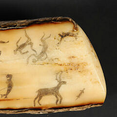 Mammoth Walrus Eskimo Scrimshaw Pictorial