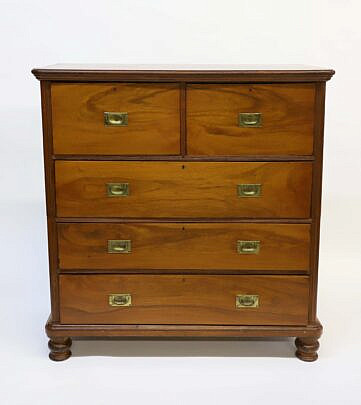 British Campaign Camphor Wood Chest of Drawers, 19th Century