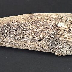 Antique Carved Fossilized Whalebone Narwhal and Seal Sculpture Figurine, 19th century