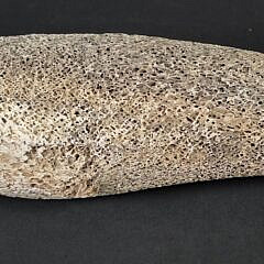 Antique Carved Fossilized Whalebone Narwhal and Seal Sculpture Figurine, 19th century