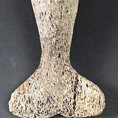 Antique Carved Fossilized Whalebone Narwhal and Seal Sculpture Figurine, 19th century