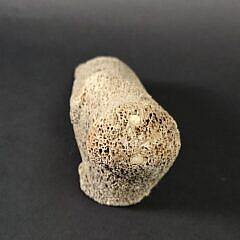 Antique Carved Fossilized Whalebone Narwhal and Seal Sculpture Figurine, 19th century