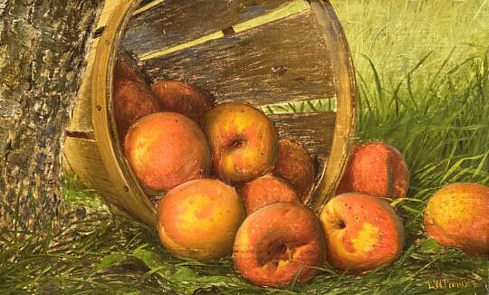 4915-955 Prentice Still Life A