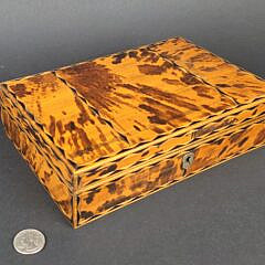 4927-955 Tortoiseshell Box A