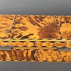 Antique Tortoiseshell Inlaid British Regency Box, 19th century