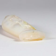 Carved Abalone “Immortals” Snuff Bottle, 20th Century
