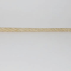 Whaleman Made Clenched Fist Grip Walking Stick, 19th Century