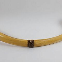 19th Century Sperm Whale Rib