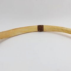 19th Century Sperm Whale Rib
