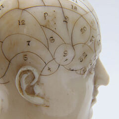 Very Fine Engraved Phrenology Head Walking Stick, 19th Century