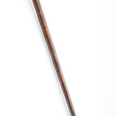 Very Fine Engraved Phrenology Head Walking Stick, 19th Century