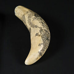Whaleman Made Scrimshaw Antique Whale Tooth 19th Century