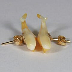 Pair of Charlie Sayle Sr. Carved Antique Whale Earrings