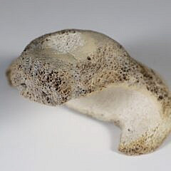 Inuit Antique Whale Bone Seal Sculpture, 19th Century