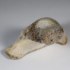 Inuit Antique Whale Bone Seal Sculpture, 19th Century