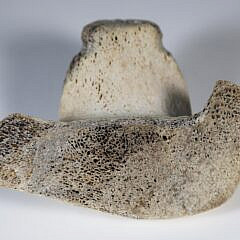 Inuit Antique Whale Bone Seal Sculpture, 19th Century