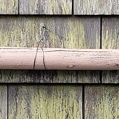 Antique Style Paint Decorated Old Salt Wooden Rowboat Oar