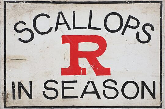 Vintage Scallops "R" In Season Painted Wood Sign