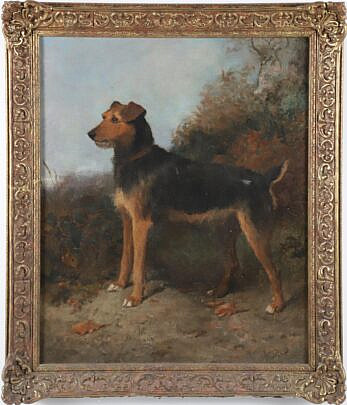 19th Century Oil on Canvas "Portrait of an Airdale"