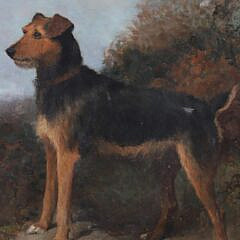 Antique Oil on Canvas “Portrait of an Airedale Terrier”, dated 1898