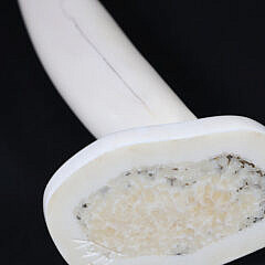 Ronald Apangalook Yupik Walrus Tusk Carving of a Cormorant with Baleen Beak and Eyes