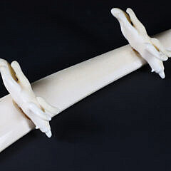 Inuit Carved and Scrimshaw Walrus Tusk Cribbage Board on Carved Wolf Feet