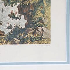 Four Framed 1865 Lithographs of Waterfalls by T. Baines