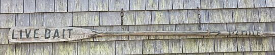5020-955 Live Bait Oar A