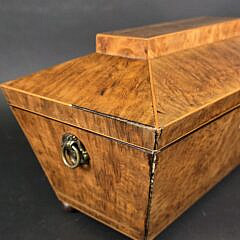 Antique British Regency Birdseye Maple Double Compartment Tea Caddy, 19th century