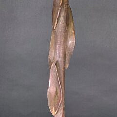 Antique American Folk Art Carved Diamond Willow Walking Stick