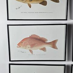 Set of Six Shermon Foote Denton Fish Species Prints