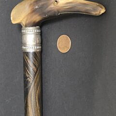 Antique Carved Horn Whippet Dog Head Cane Grip, 19th century