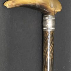 Antique Carved Horn Whippet Dog Head Cane Grip, 19th century