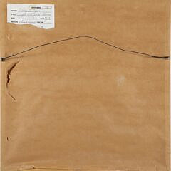 Douglas Bourgeois 1988 Watercolor “Couple with Spinal Column”