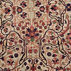Caucasian Shirvan Style Oriental Carpet