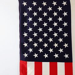 Vintage 50 Star U.S. American Parade Flag