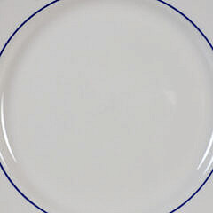 Twelve “Nantucket Blue Plate Special” Plates