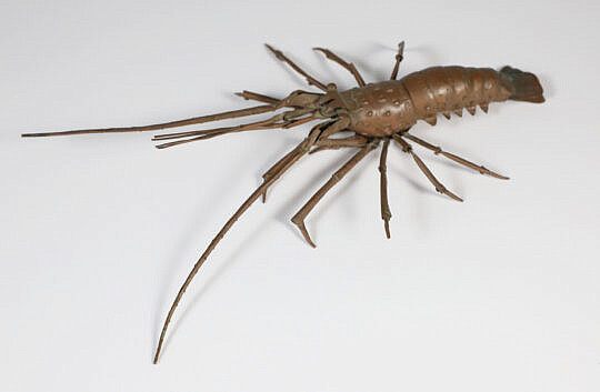 Japanese Copper Articulated Crawfish