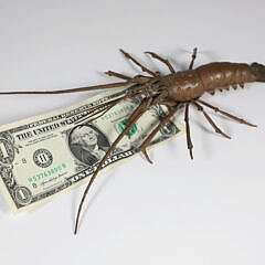Vintage Japanese Copper Articulated Crawfish