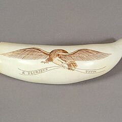 Robert Spring Patriotic American Eagle Scrimshaw Whale’s Tooth