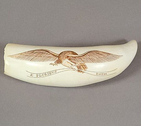 1970-1865 Robert Spring Tooth A