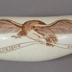 Robert Spring Patriotic American Eagle Scrimshaw Whale’s Tooth